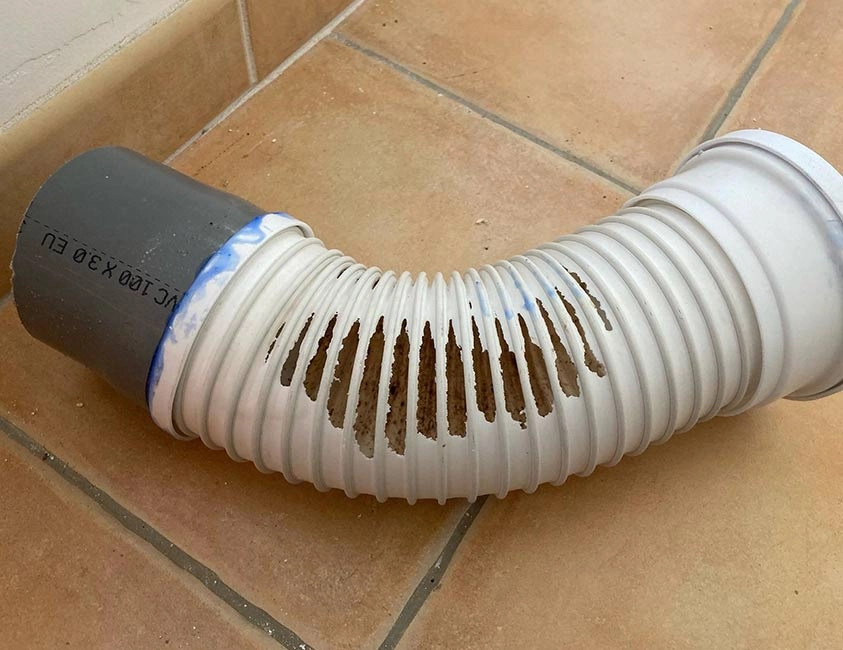 Nos solutions de dératisation à Nîmes